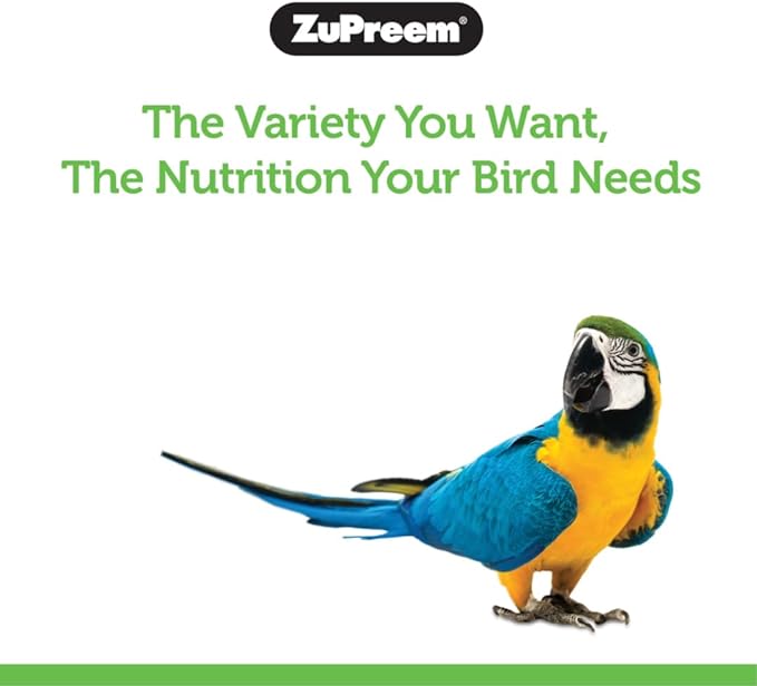 51QbqBO1rDL._AC_SX679_