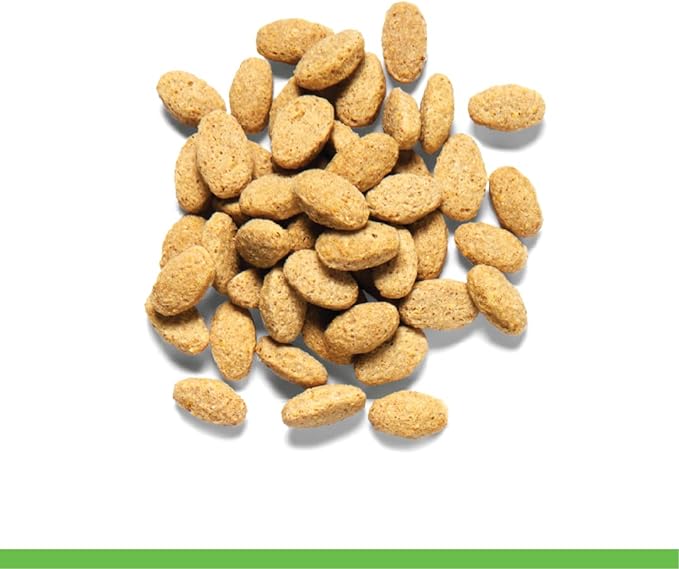 61aiz01o0FL._AC_SX679_