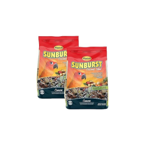 Higgins Sunburst Gourmet Food Mix for Conures