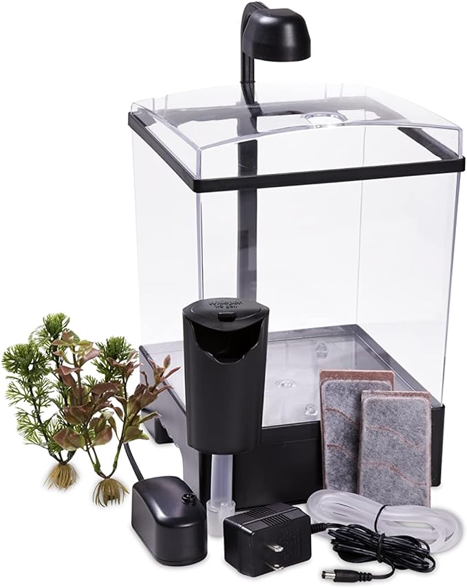 61uk2MIsqdL._AC_SX679_