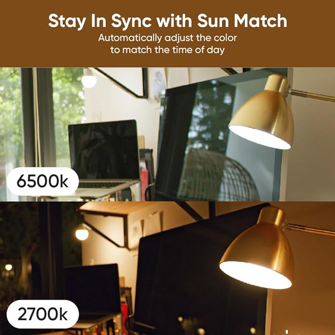 61wZ-OWi1ML._AC_SX679_