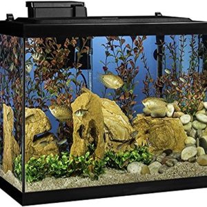 Tetra Aquarium, 20 Gallon, Complete Tropical Fish Tank Kit With LED Lighting And Decor For Freshwater Fish
