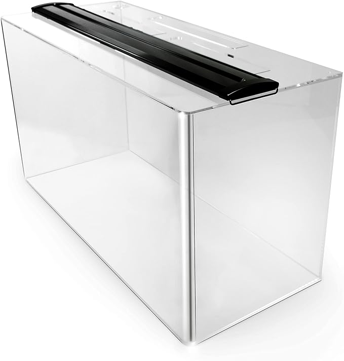 71kT12o3SCL._AC_SX679_