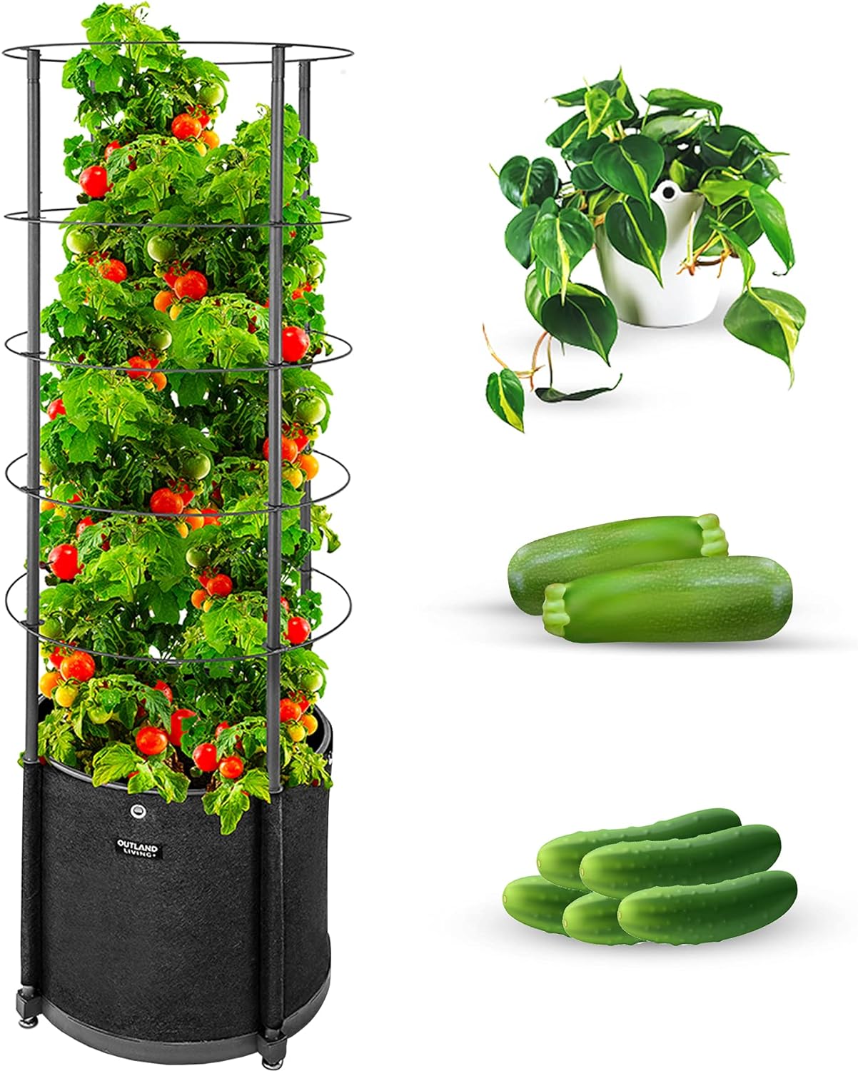 816SNy0NTvL._AC_SL1500_