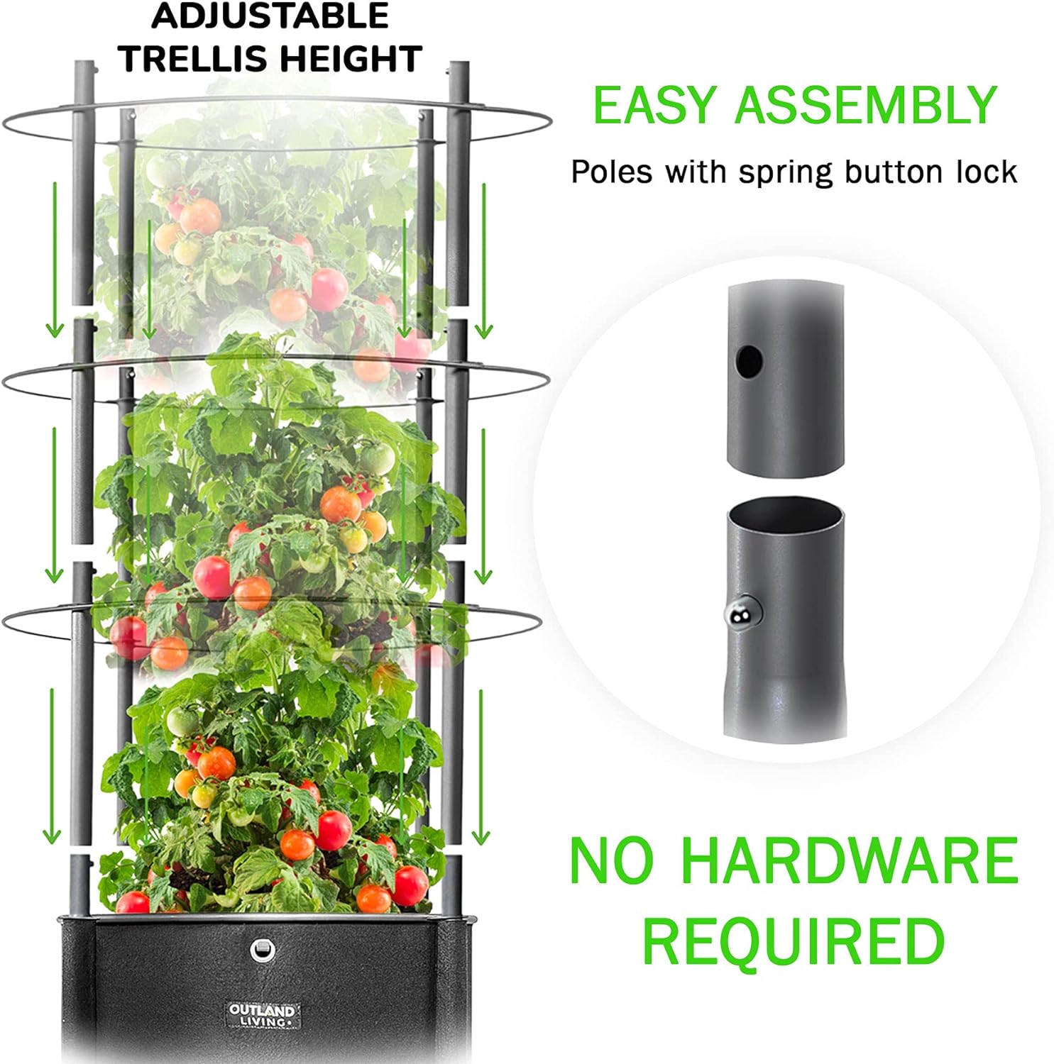 81FKeNLTEXL._AC_SL1500_