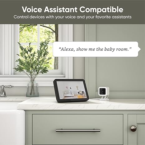 81GHnt+pe1L._AC_SX466_