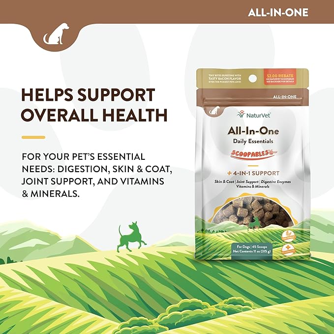 81XKQXGfGuL._AC_SX679_