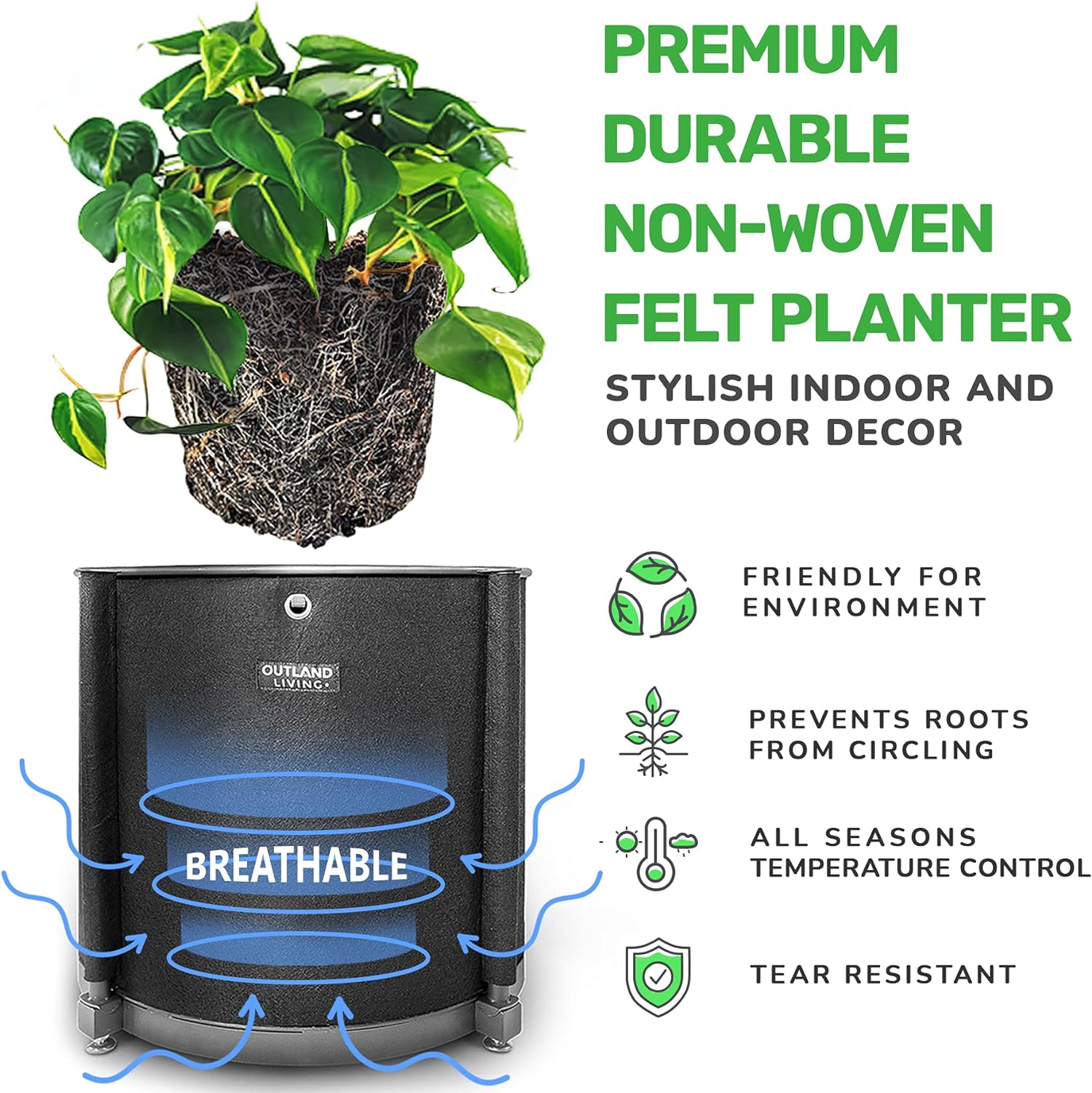 81nufn8Ku3L._AC_SL1500_