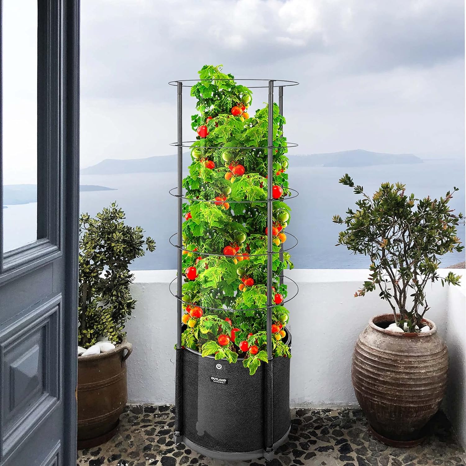 81s5Iud7RML._AC_SL1500_