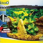 91Vs2aCKRgL._AC_SX679_