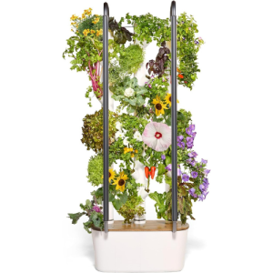 Gardyn Hydroponics Growing System 4.0 & Vertical Garden Planter | Indoor Smart Garden| Includes 30 Non-GMO Indoor Plants, Herbs & Vegetables & LED Grow Lights for Your Home Indoor Gardening System