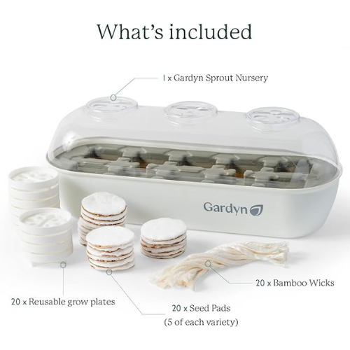 Untitled design (25)